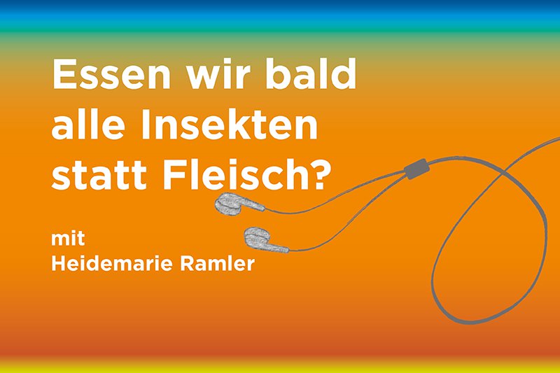 Podcast: Essen wir bald alle Insekten statt Fleisch?