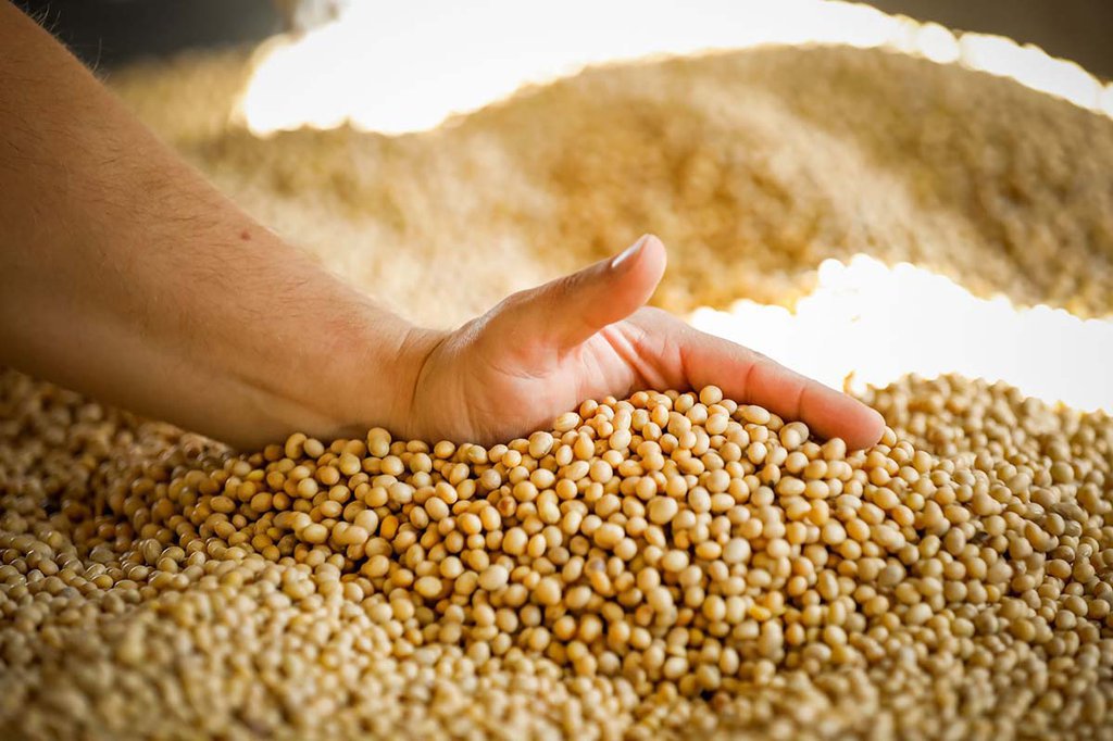 A Digital Product Pass for the Soya Bean