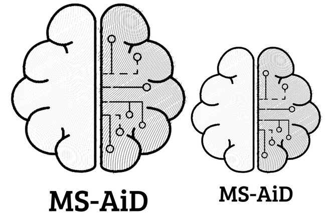 MS-AiD